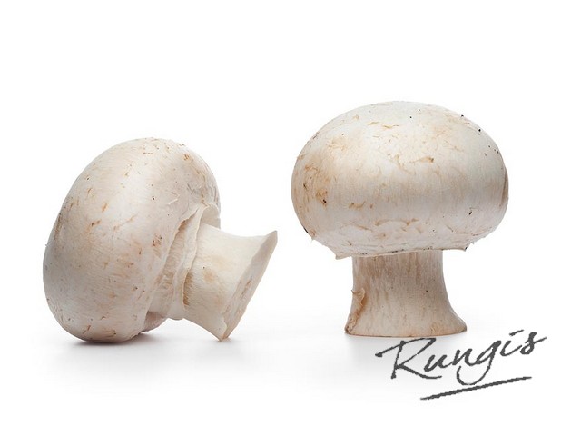 10892 Reuze champignons kg