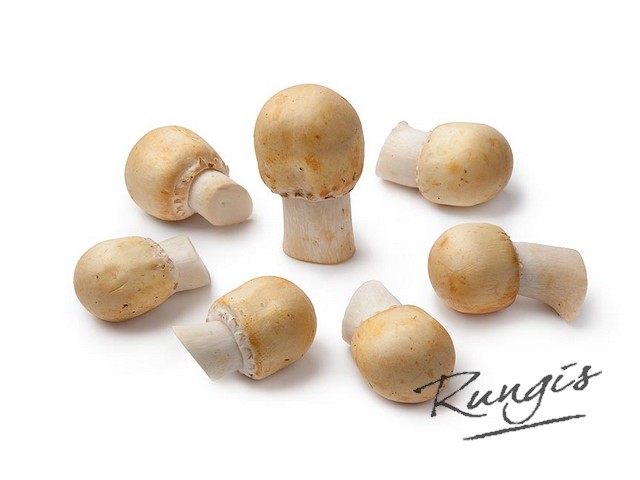 25191 Anijs champignons (akker) bak 250 gram