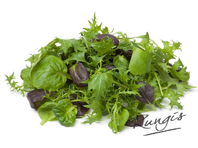 56319 Mesclun mix verpakt 125 gram eko*